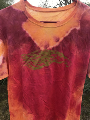 Phoenix Multi Color T-Shirt